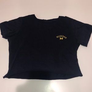 Michigan cropped graphic tee vintage